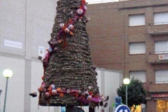 ARBRE EXTERIOR AMB PLACA