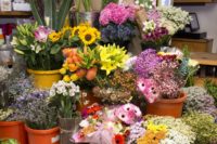 Floristeria Cardona 2.jpg